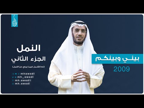بيني وبينكم 2009 - الحلقة الثانية والعشرون - النمل ج 2 (لم الشمل فيما يروي عن النمل)